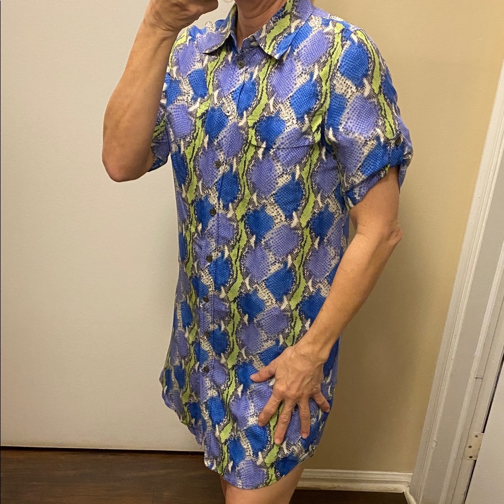 Equipment Snake Patterned Silk ShirtDress - Picture 2 of 6